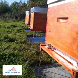 Les ruches de Saint-Gobain Nantes