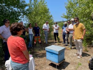 Visite du rucher en Juillet 2021 en compagnie de notre apiculteur local