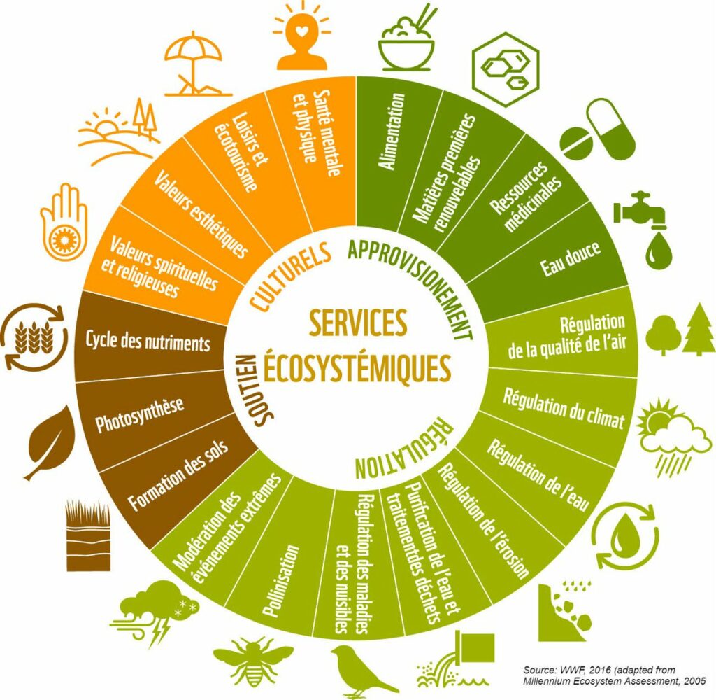les services écosystémiques